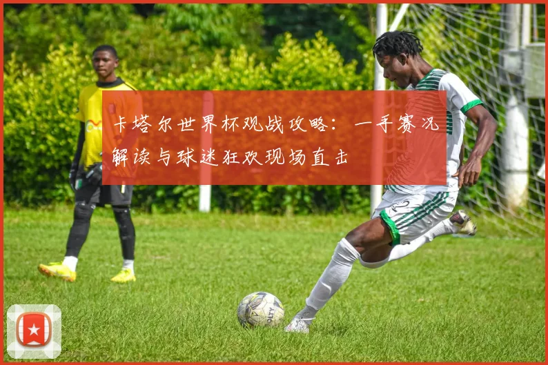 卡塔尔世界杯观战攻略：一手赛况解读与球迷狂欢现场直击